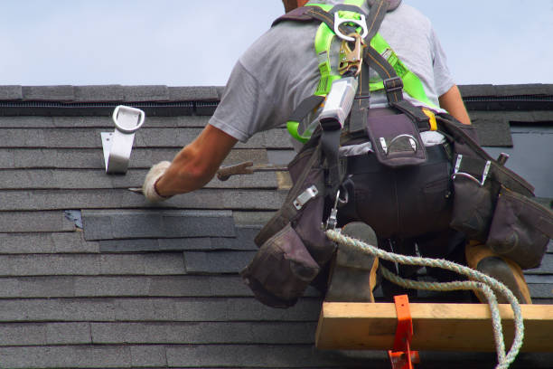 Best Roof Maintenance Services  in Marlinton, WV